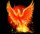 phoenix engineering group 